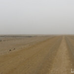 Route le long de la Skeleton coast