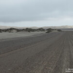 Skeleton coast