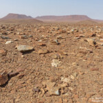 Parc National de la Skeleton coast