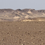 Skeleton coast