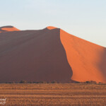 Dunes de Sossusvlei