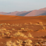 Dunes de Sossusvlei