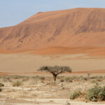 Dunes de Sossusvlei