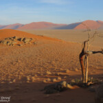 Sossusvlei