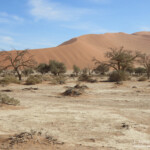 Sossusvlei