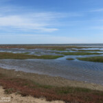 Les salins de Walvis Bay