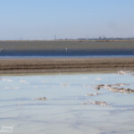 Les salins de Walvis Bay