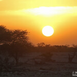 Okaukuejo, Etosha