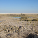 Etosha