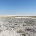 Paysages d'Etosha