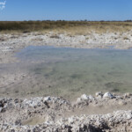 Etosha, résurgences