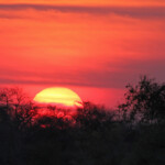 Soleil couchant sur Etosha