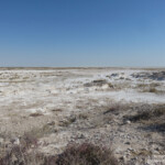 Etosha