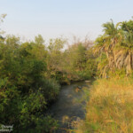 Popa falls