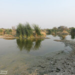 Rundu