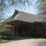Lodge à Shakawe