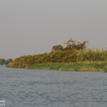 Okavango, Shakawe