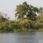 Les rives de l'Okavango, Shakawe