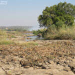 Chutes Victoria (Zambie)