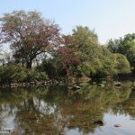 Chutes Victoria (Zambie)