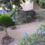 Jardin à Dakar