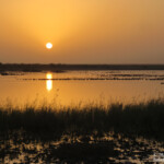 Lever de soleil sur le Djoudj