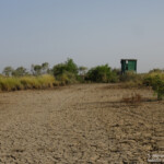 Observatoire du Djoudj