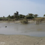 Réserve de Guembeul