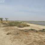 Réserve de Guembeul