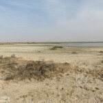 Réserve de Guembeul