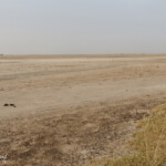 Les bords du Saloum à Kaolack, Sénégal