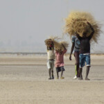 La corvée matinale sur les bords du Saloum à Kaolack, Sénégal