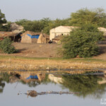 Pistes près du Djoudj