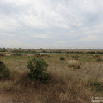 Paysages près du Sine Saloum