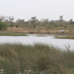 Route pour Sine Saloum