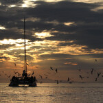 Au large de la Grande-Motte, 19 mars 2016