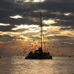 Au large de la Grande-Motte, 19 mars 2016