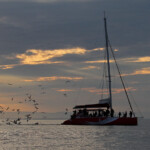 Au large de la Grande-Motte, 19 mars 2016