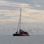 Au large de la Grande-Motte, 19 mars 2016