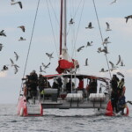 Au large de la Grande-Motte, 19 mars 2016