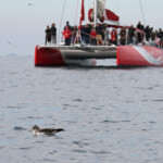 Au large de la Grande-Motte, 19 mars 2016