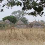 Village près de Kaolack