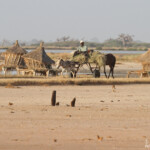 Exploitation de sel, Sine Saloum