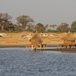 Exploitation de sel, Sine Saloum