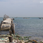 Djiffer, Sine Saloum