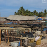 Djiffer, Sine Saloum