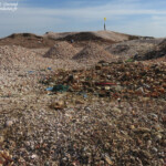 Djiffer, Sine Saloum