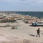 Djiffer, Sine Saloum