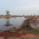 Sud du Sine Saloum, Sénégal