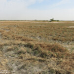 Paysages du Sine Saloum